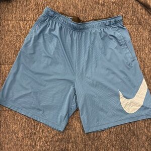 Nike Men's Blue Athletic Shorts